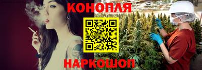 крисы Новодвинск