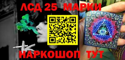 крисы Новодвинск
