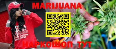 крисы Новодвинск