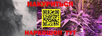 крисы Новодвинск