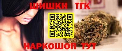 крисы Новодвинск