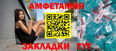 крисы Новодвинск