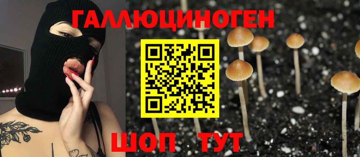 Галлюциногенные грибы мухоморы Сарапул